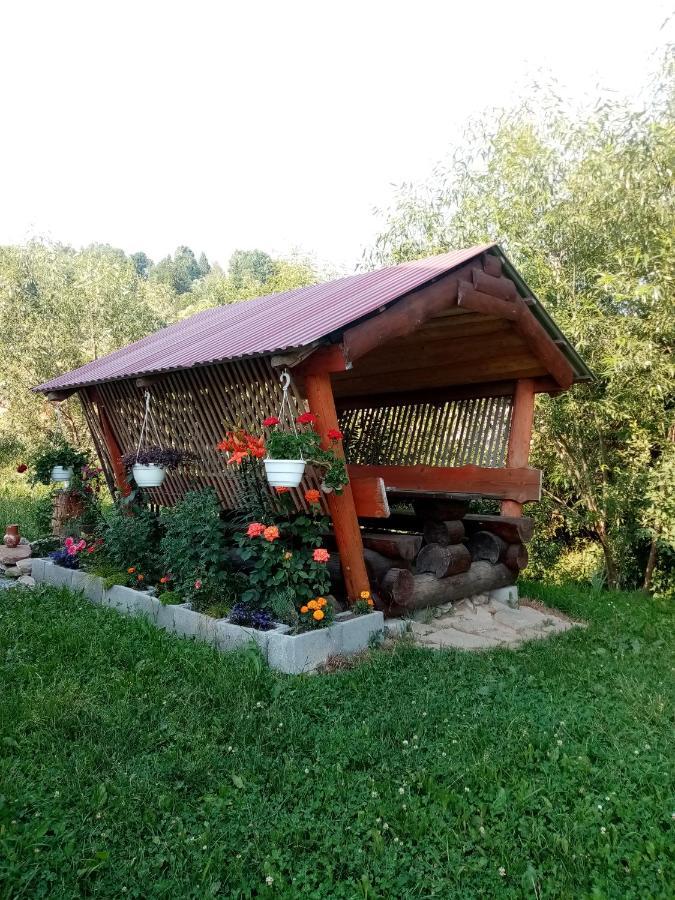 Sadyba Sunny House Pilipets Exterior foto